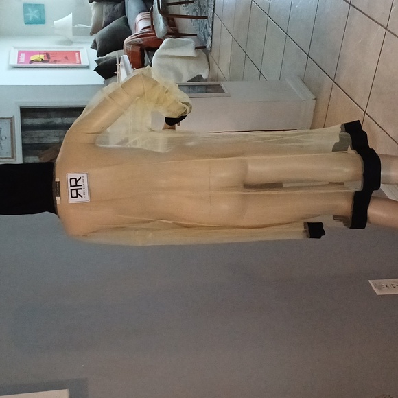 Ruben Galarreta Dresses & Skirts - Ruben Galarreta long net sheer hoodie dress L Amazing